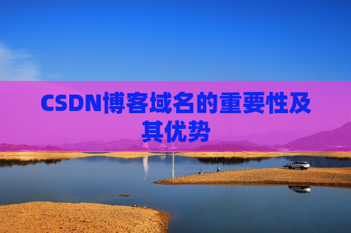 CSDN博客域名的重要性及其优势